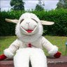 Lamb Chop